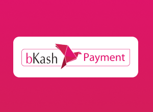 bKash Payment
